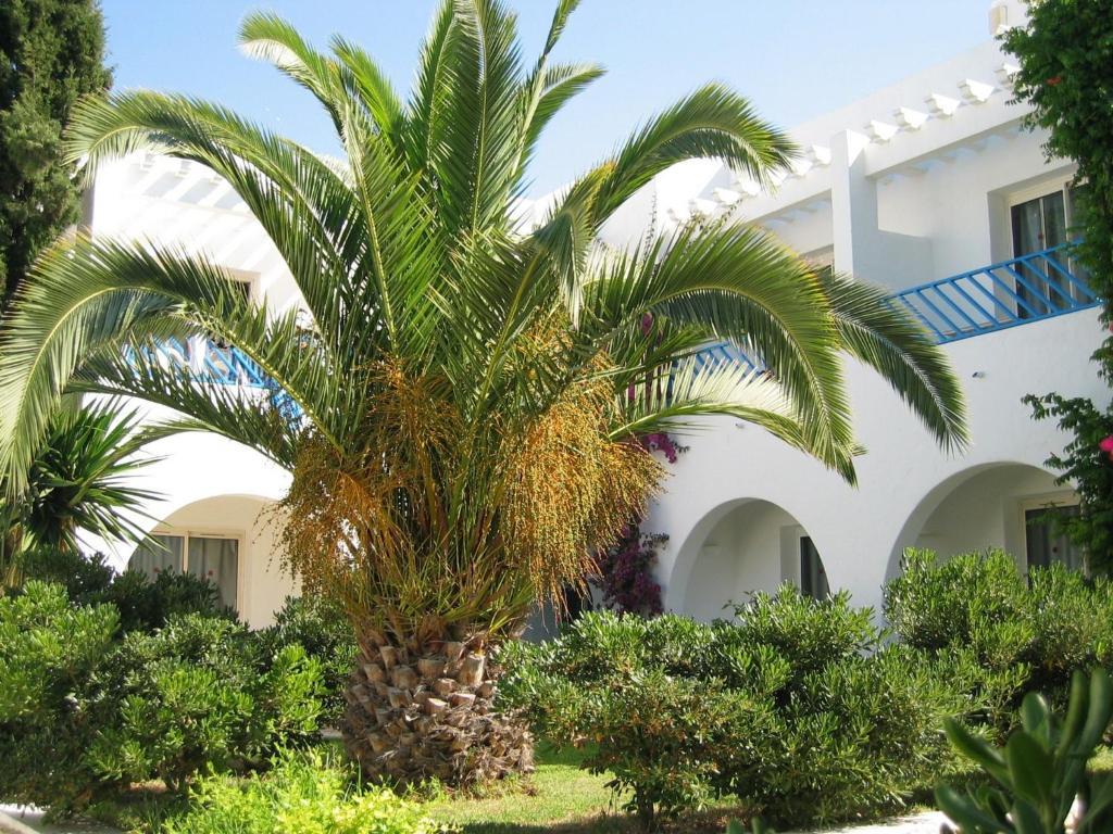 Hotel Residence La Paix Hammamet Dış mekan fotoğraf